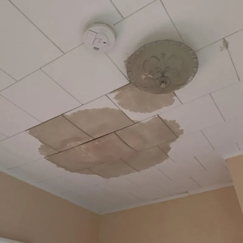 Ceiling Water Damage Repair in Randolph County, WV
