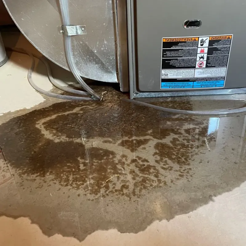 Pipe Burst and Leak Restoration in Randolph County, WV