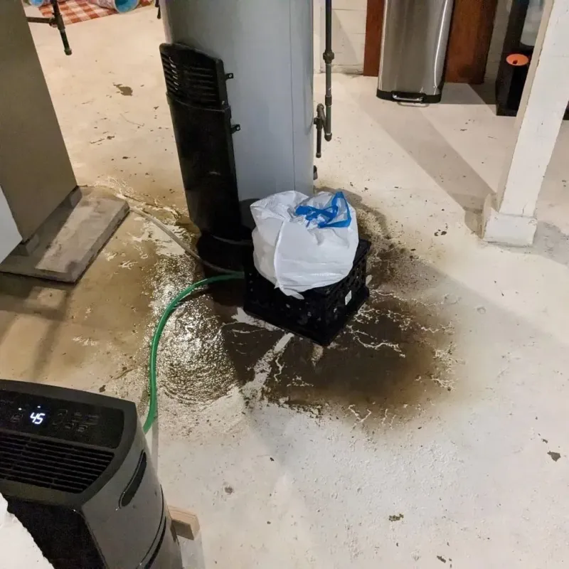 Sewage Backup Cleanup Service in Randolph County, WV